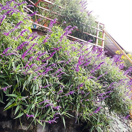 Sapa Tatu Homestay Exterior photo